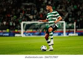 一日四赛全胜 樊振东获留洋生涯首冠